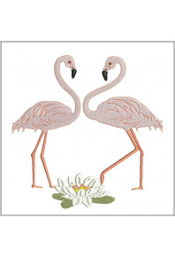 Pet065 - Flamingos pair
